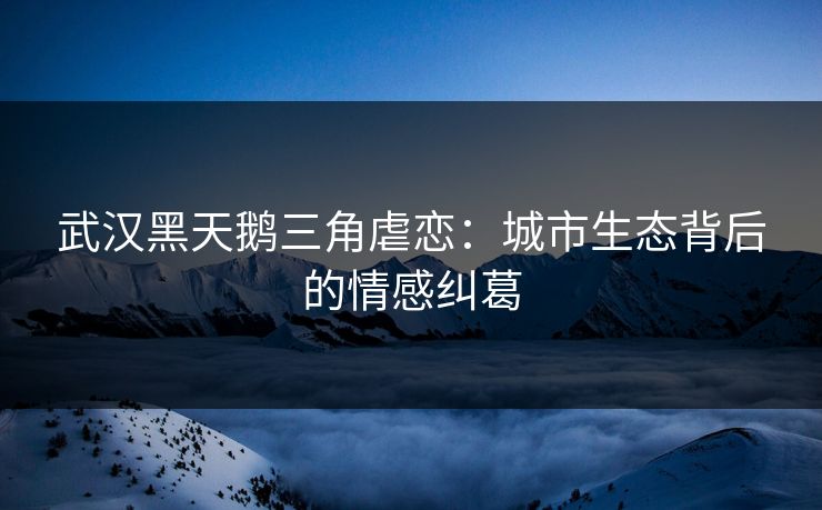 武汉黑天鹅三角虐恋：城市生态背后的情感纠葛
