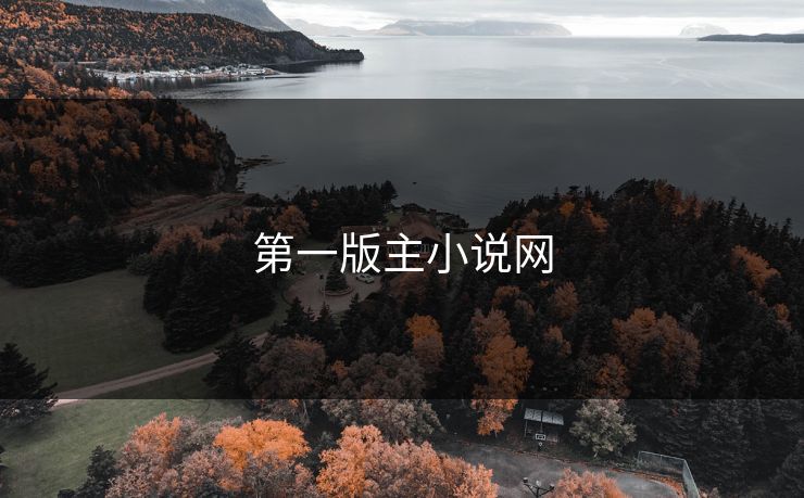 第一版主小说网