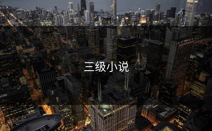三级小说