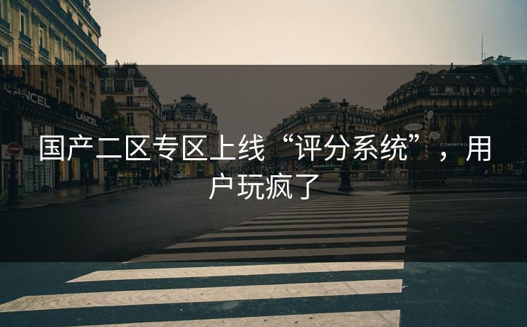 国产二区专区上线“评分系统”，用户玩疯了