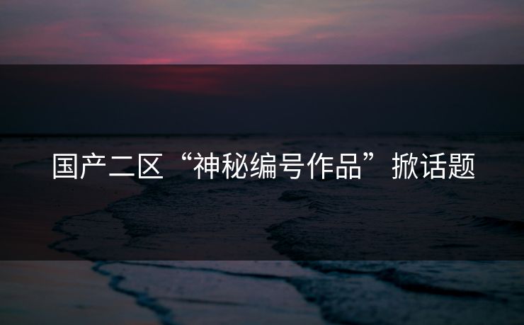 国产二区“神秘编号作品”掀话题