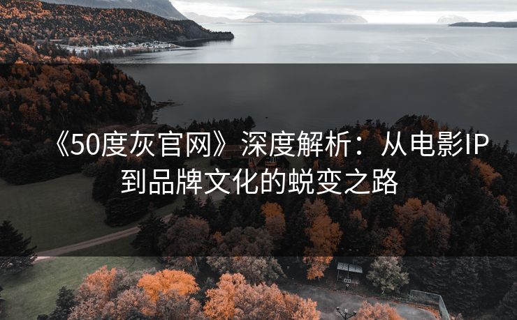 《50度灰官网》深度解析：从电影IP到品牌文化的蜕变之路