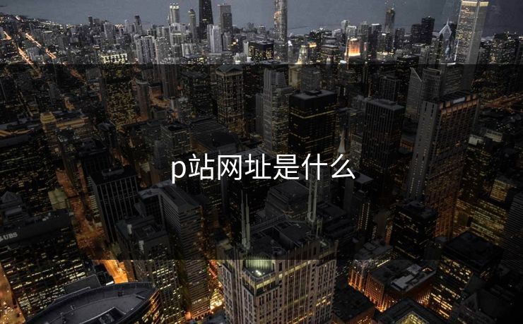p站网址是什么