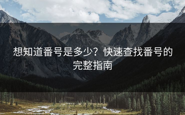 想知道番号是多少？快速查找番号的完整指南