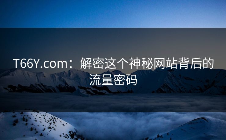 T66Y.com：解密这个神秘网站背后的流量密码