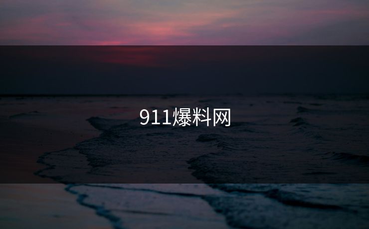 911爆料网